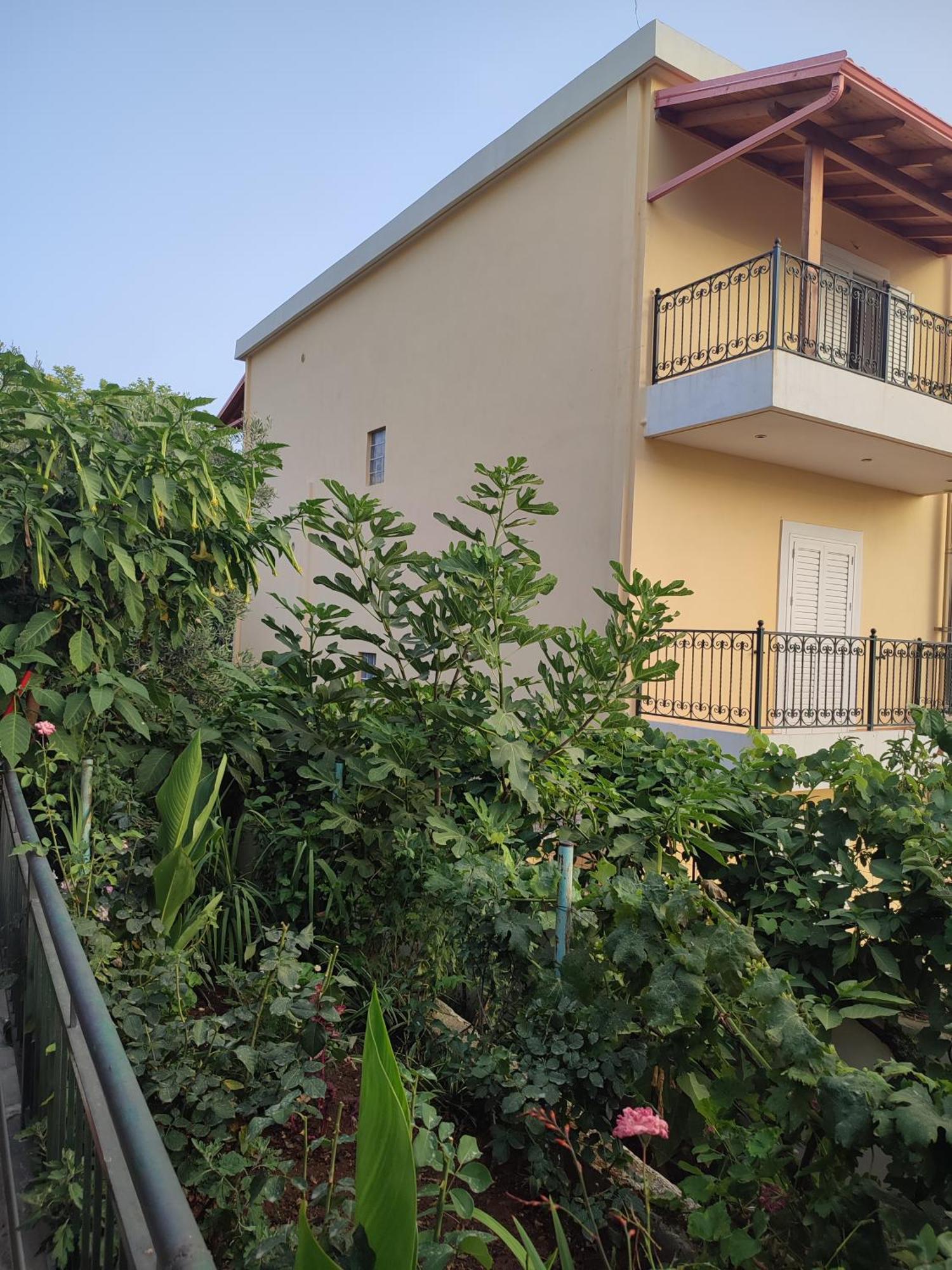 דרמי Villa Janilla מראה חיצוני תמונה