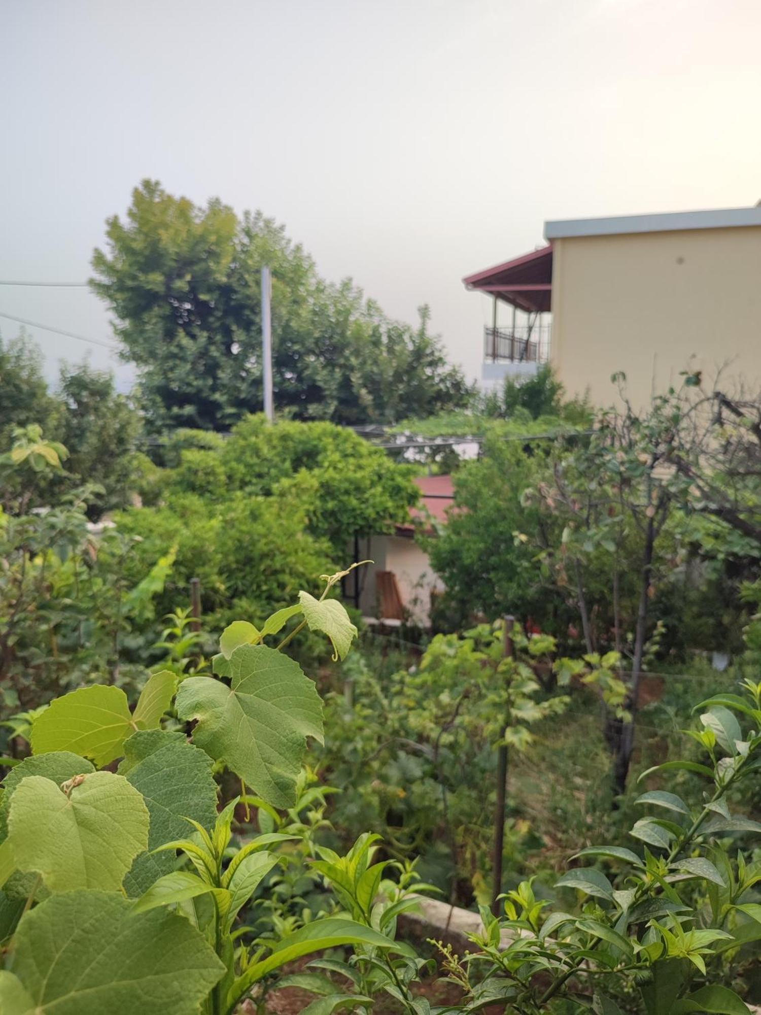 דרמי Villa Janilla מראה חיצוני תמונה