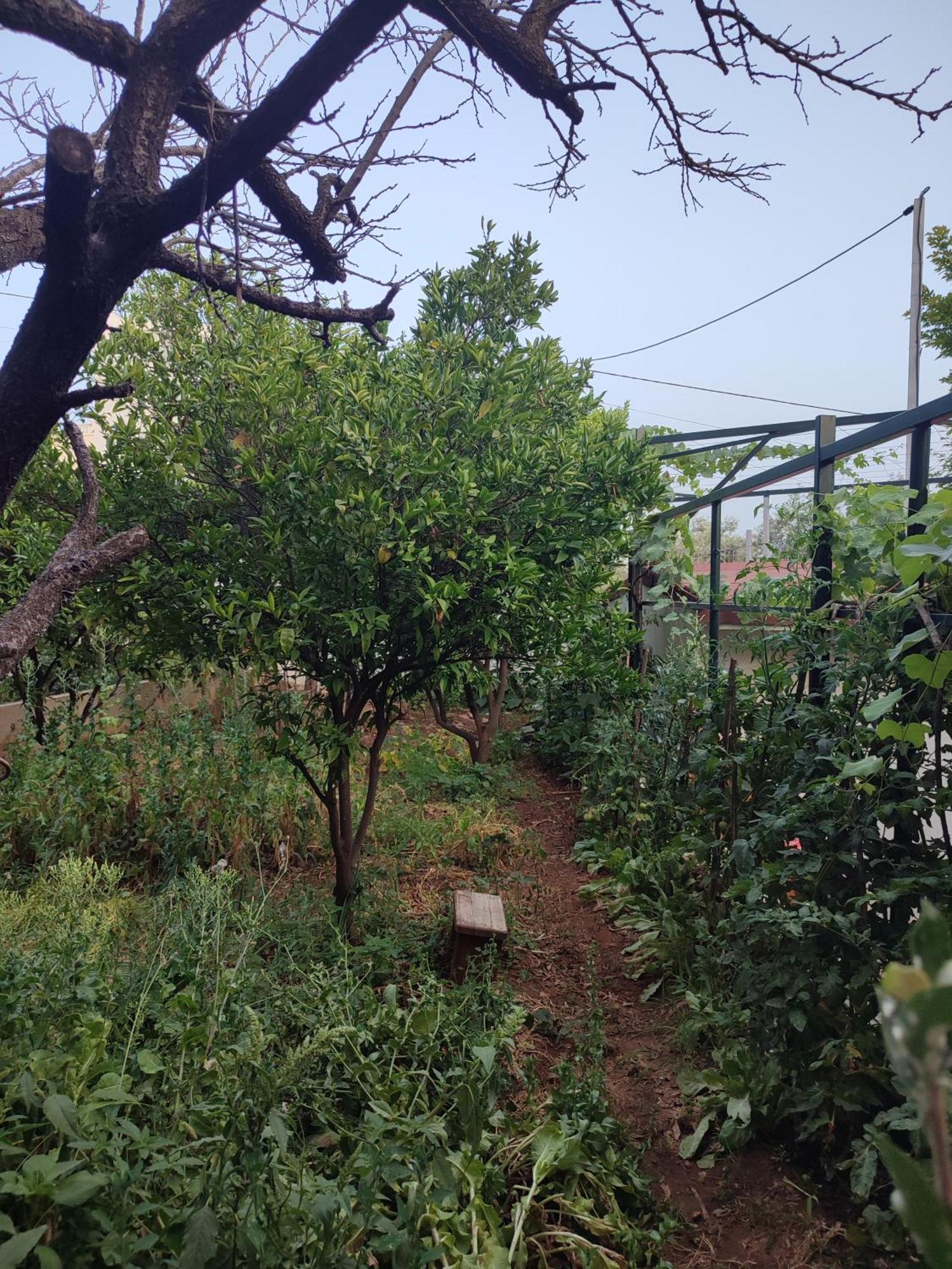 דרמי Villa Janilla מראה חיצוני תמונה